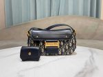 designer shoulder bag or luxury handbag