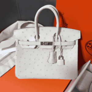 Hermès Birkin Bag (Ostrich Leather)