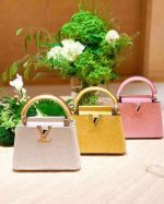 Classic Louis Vuitton bag from new collection 2025