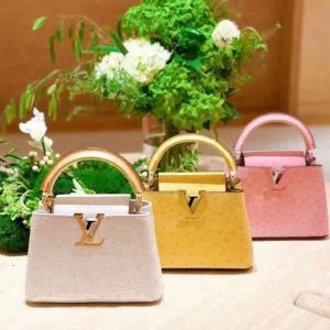 Classic Louis Vuitton bag from new collection 2025