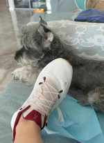 On Running Cloudmonster White & Red Men’s Sneakers - Image 2