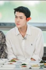 White Polo shirt for men, button-down style with logo embroidery