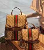 Stylish Designer Backpack & Mini Bag