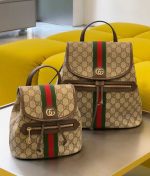 Stylish Designer Backpack & Mini Bag - Image 5