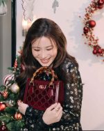 Wine Red Luxury Mini Top-Handle Bag